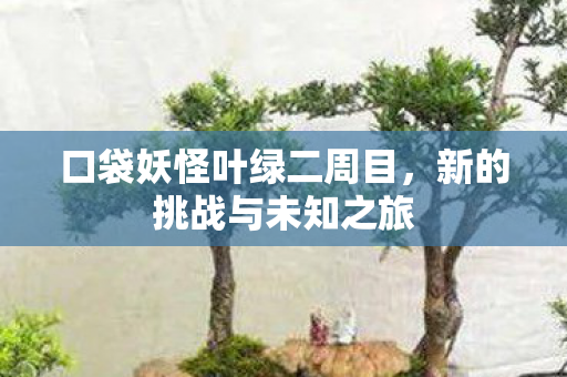 口袋妖怪叶绿二周目,新的挑战与未知之旅 口袋妖怪叶绿二周目,新的挑战与未知之旅