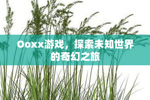 Ooxx游戏，探索未知世界的奇幻之旅