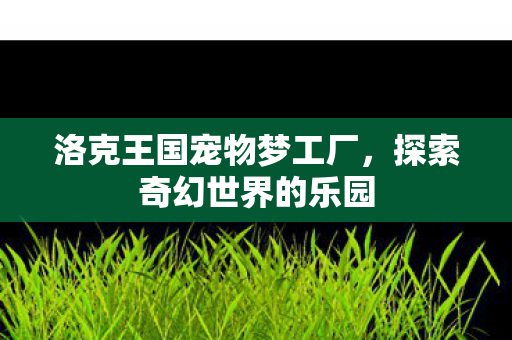 洛克王国宠物梦工厂图片