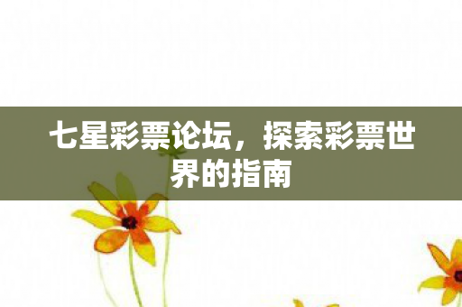 探索彩票世界的指南图片