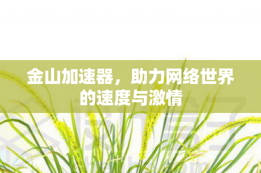 金山加速器，助力网络世界的速度与激情