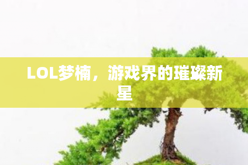 游戏界的璀璨新星图片