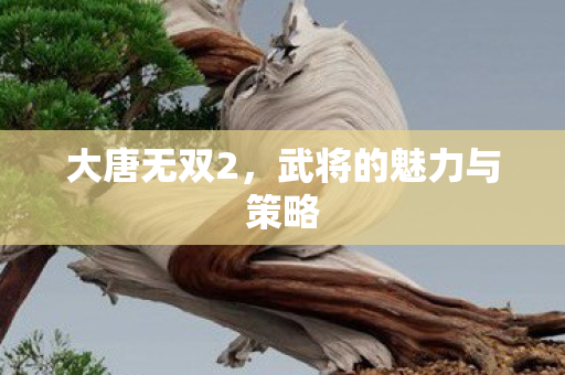 武将的魅力与策略图片