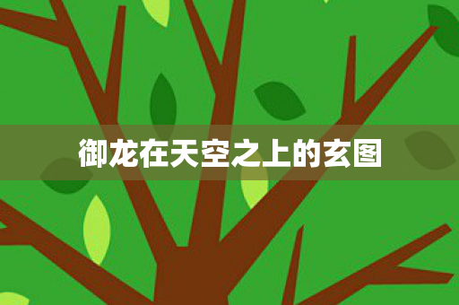 御龙在天空之上的玄图图片
