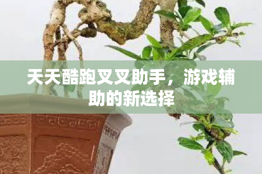 天天酷跑叉叉助手图片