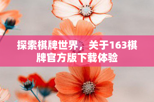 关于163棋牌官方版下载体验图片