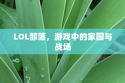 游戏中的家园与战场图片