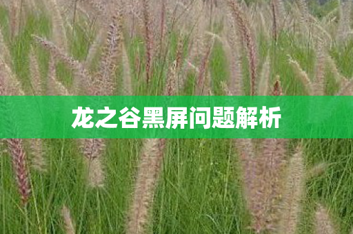 龙之谷黑屏问题解析图片