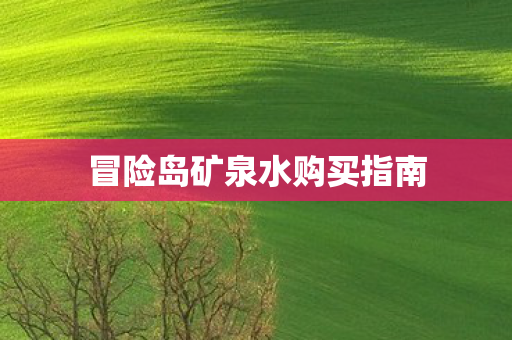 冒险岛矿泉水购买指南图片