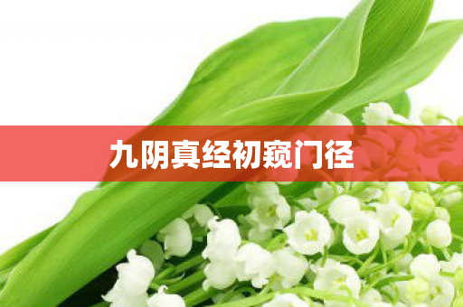 九阴真经初窥门径图片
