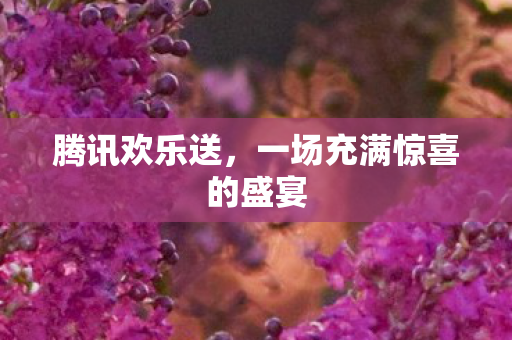 一场充满惊喜的盛宴图片