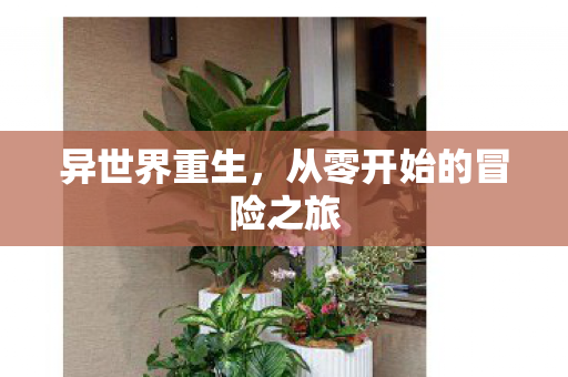 从零开始的冒险之旅图片