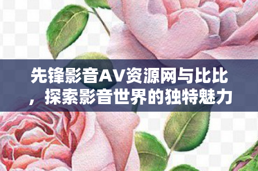 先锋影音AV资源网与比比图片