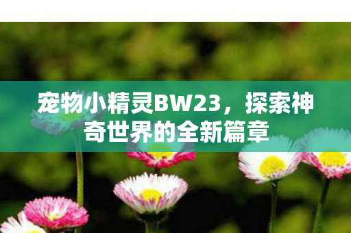 探索神奇世界的全新篇章图片