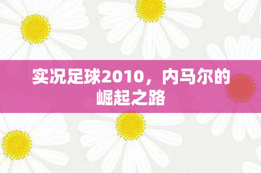 实况足球2010图片