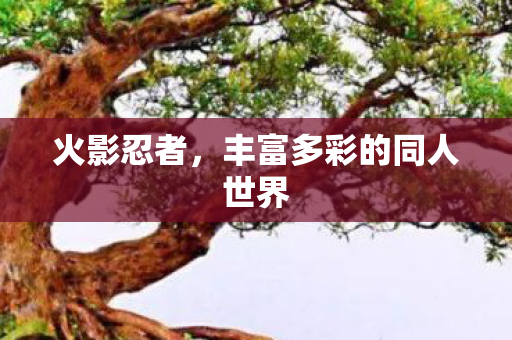 丰富多彩的同人世界图片