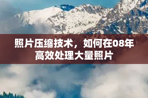 如何在08年高效处理大量照片图片