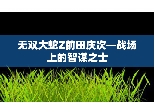 无双大蛇Z前田庆次图片