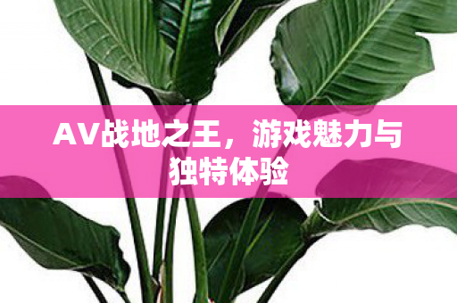 游戏魅力与独特体验图片