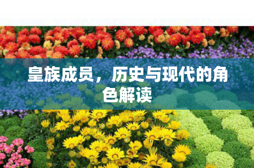 历史与现代的角色解读图片
