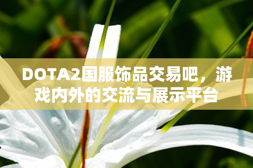 DOTA2国服饰品交易吧图片