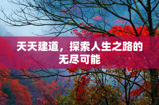 探索人生之路的无尽可能图片