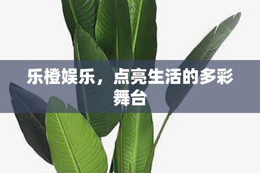 点亮生活的多彩舞台图片