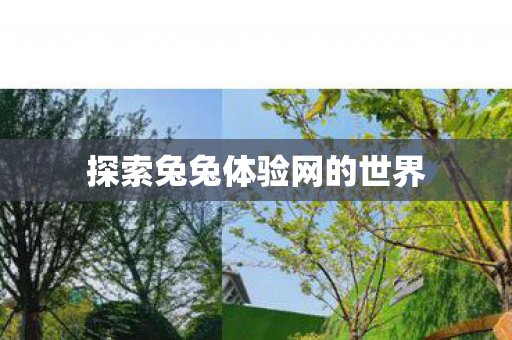 探索兔兔体验网的世界图片