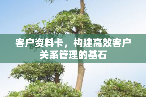 构建高效客户关系管理的基石图片