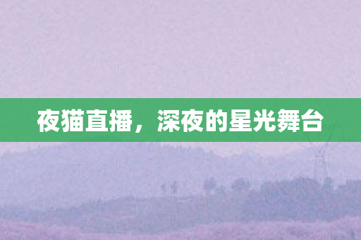 深夜的星光舞台图片