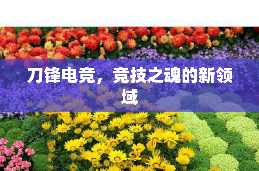 竞技之魂的新领域图片