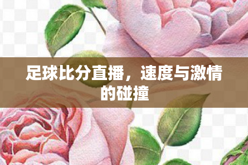 速度与激情的碰撞图片