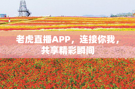 老虎直播APP图片