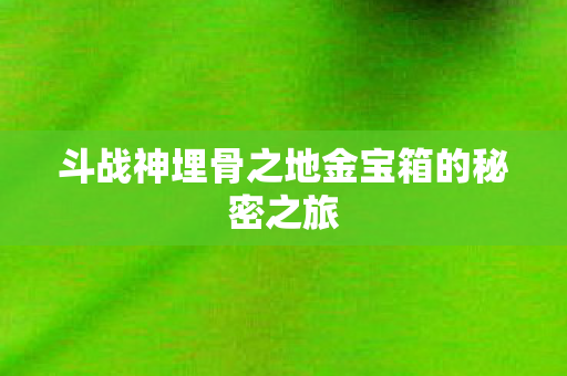斗战神埋骨之地金宝箱的秘密之旅图片