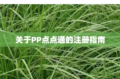 关于PP点点通的注册指南图片