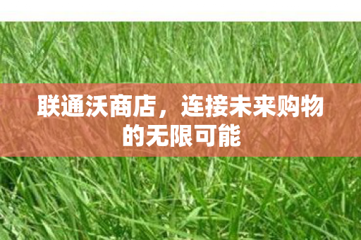连接未来购物的无限可能图片