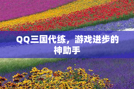 游戏进步的神助手图片
