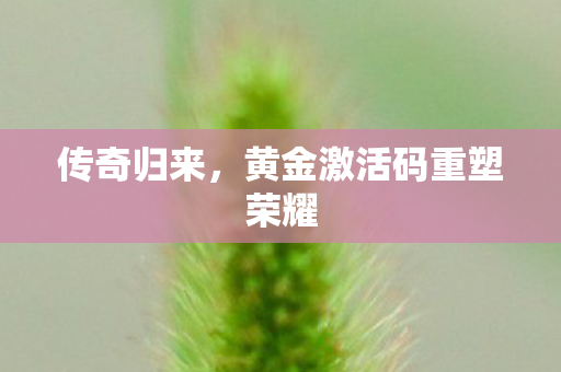 黄金激活码重塑荣耀图片