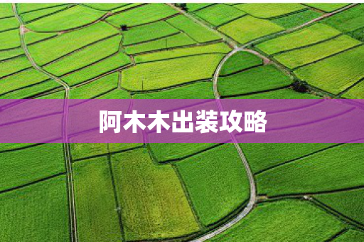 阿木木出装攻略图片