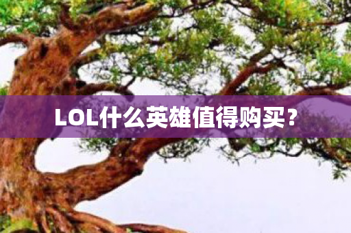 LOL什么英雄值得购买图片