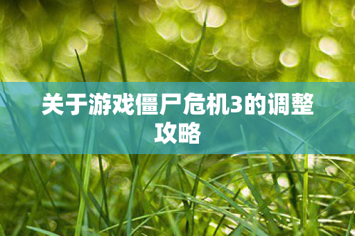 关于游戏僵尸危机3的调整攻略图片