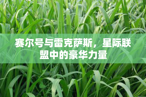 星际联盟中的豪华力量图片