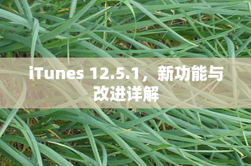 iTunes 12图片