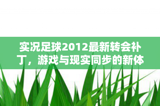 实况足球2012最新转会补丁图片