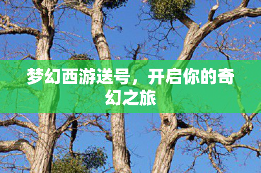 开启你的奇幻之旅图片
