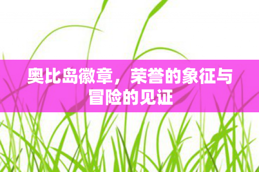 荣誉的象征与冒险的见证图片
