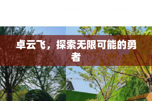 探索无限可能的勇者图片