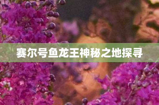 赛尔号鱼龙王神秘之地探寻图片