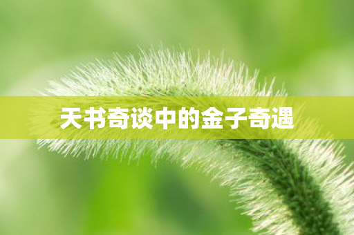 天书奇谈中的金子奇遇图片