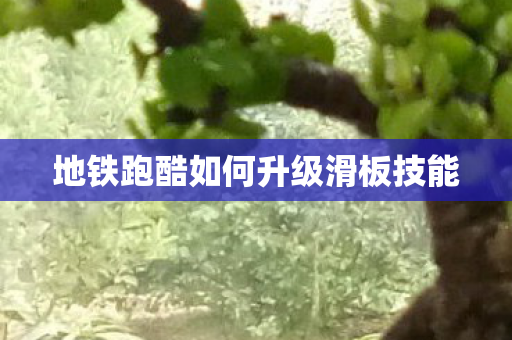 地铁跑酷如何升级滑板技能图片